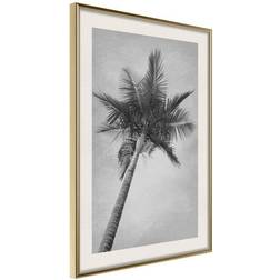 Arkiio Affisch High Palm Tree [Poster] 20x30 Poster